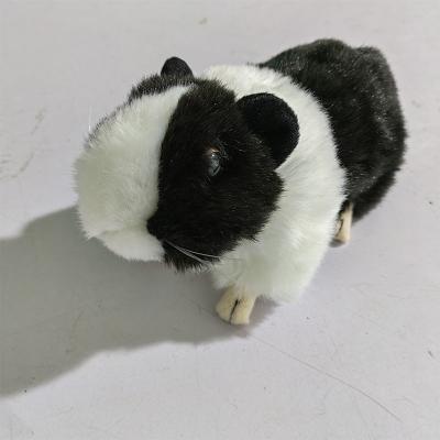 Peluches, Cochon d'inde, Hamster, Rongeur.