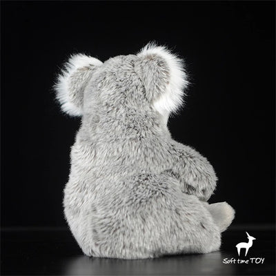 Dos Koala, Peluches, Animalia, Doudou, Zoo, Koala, Forêt.