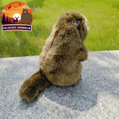 Très belles peluches réalistes en forme de marmotte veillent sur les rêves des enfants.