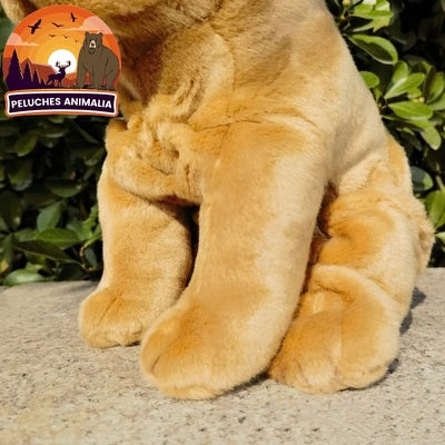 Zoom sur les pattes de la Peluche réaliste chien Shar Pei