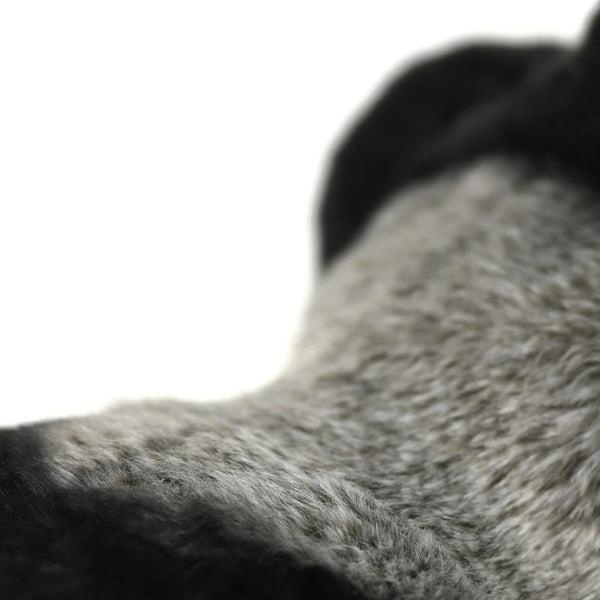 Peluches, réaliste, magnifique gorille.