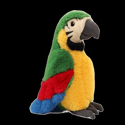 Ses peluches de perroquet, si réalistes, évoquent la beauté colorée des oiseaux des Tropiques.