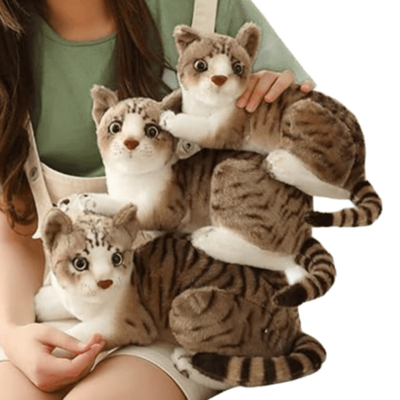 3 tailles de la peluche réaliste chat européen - 20 cm, 26 cm et 40 cm