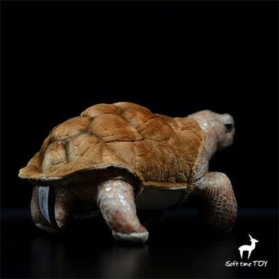 Vue 3/4 arrière de la peluche réaliste de tortue Galapagos