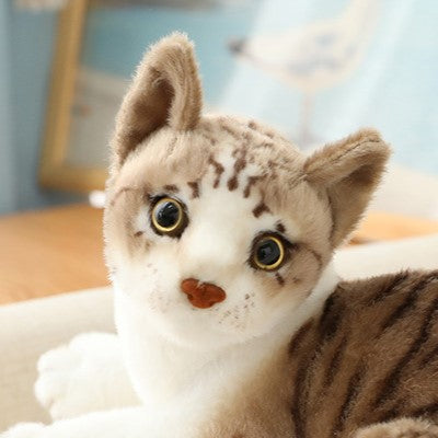 Zoom sur la tête de la peluche réaliste chat européen