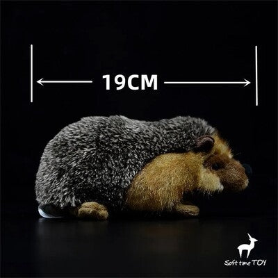 Taille de la peluche réaliste Hérisson
