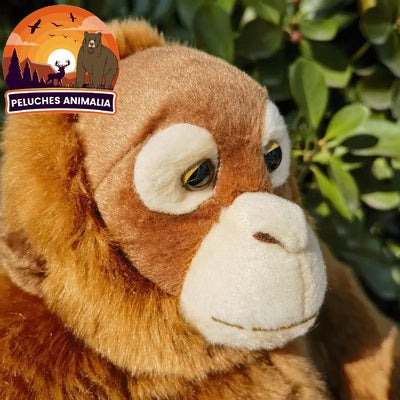 Jouet Peluche Orang Outan - 26 cm