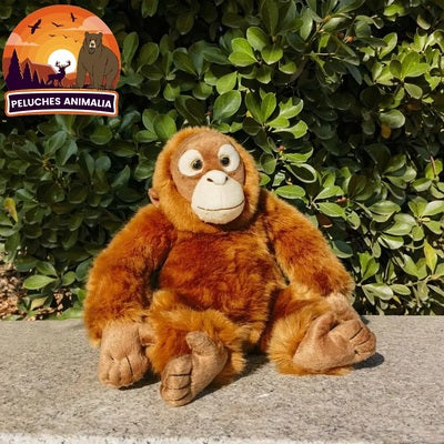 Jouet Peluche Orang Outan - 26 cm